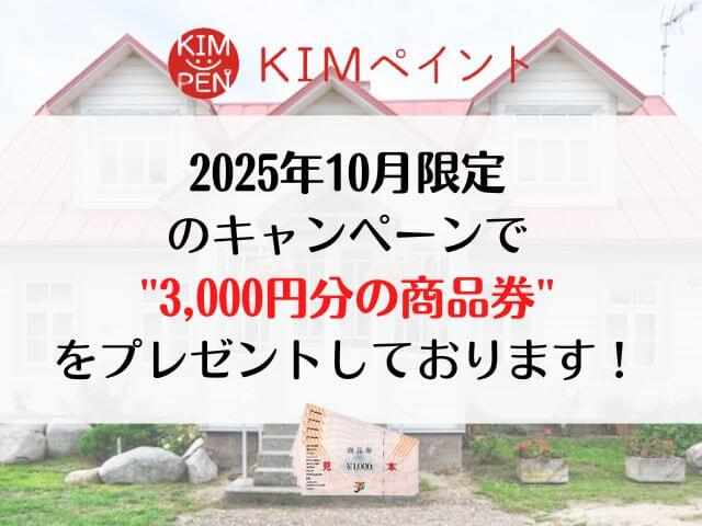 KIMペイント