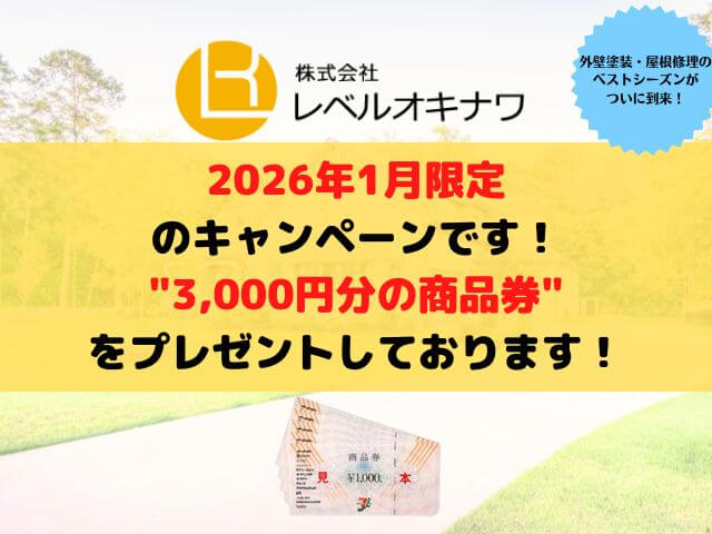 レベルオキナワキャンペーン画像