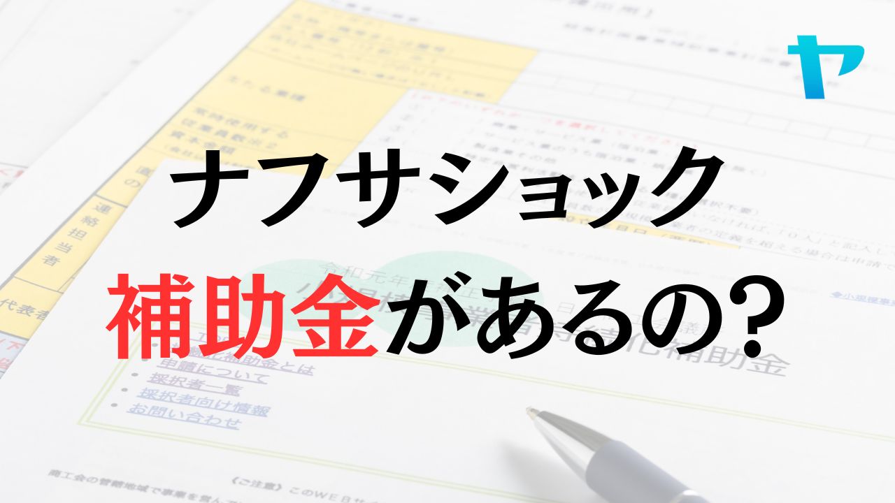 ナフサショックによって国から補助金が出ているの？